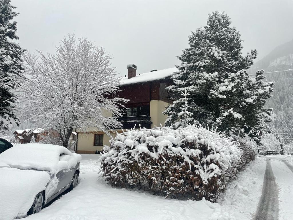 Haus Karin Mallnitz Bagian luar foto