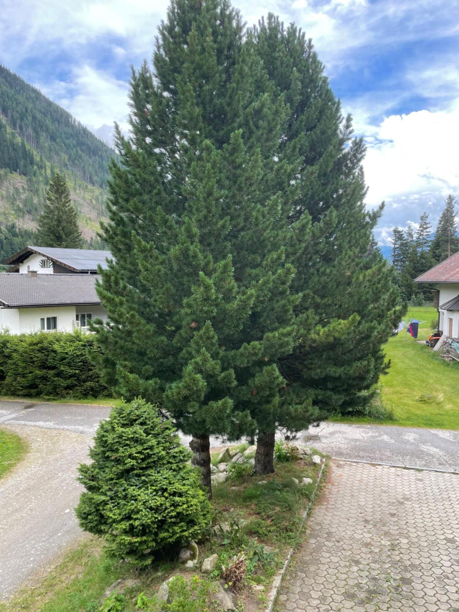 Haus Karin Mallnitz Bagian luar foto